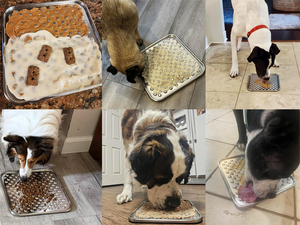 Techphardo raw feeding pad compatibility shown with treat spread for slow feeding.