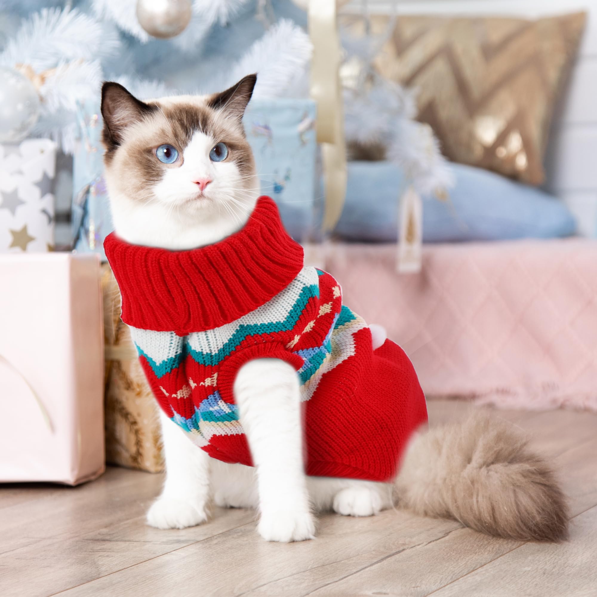 Tecotely pet photo memories ready for festive social posts
