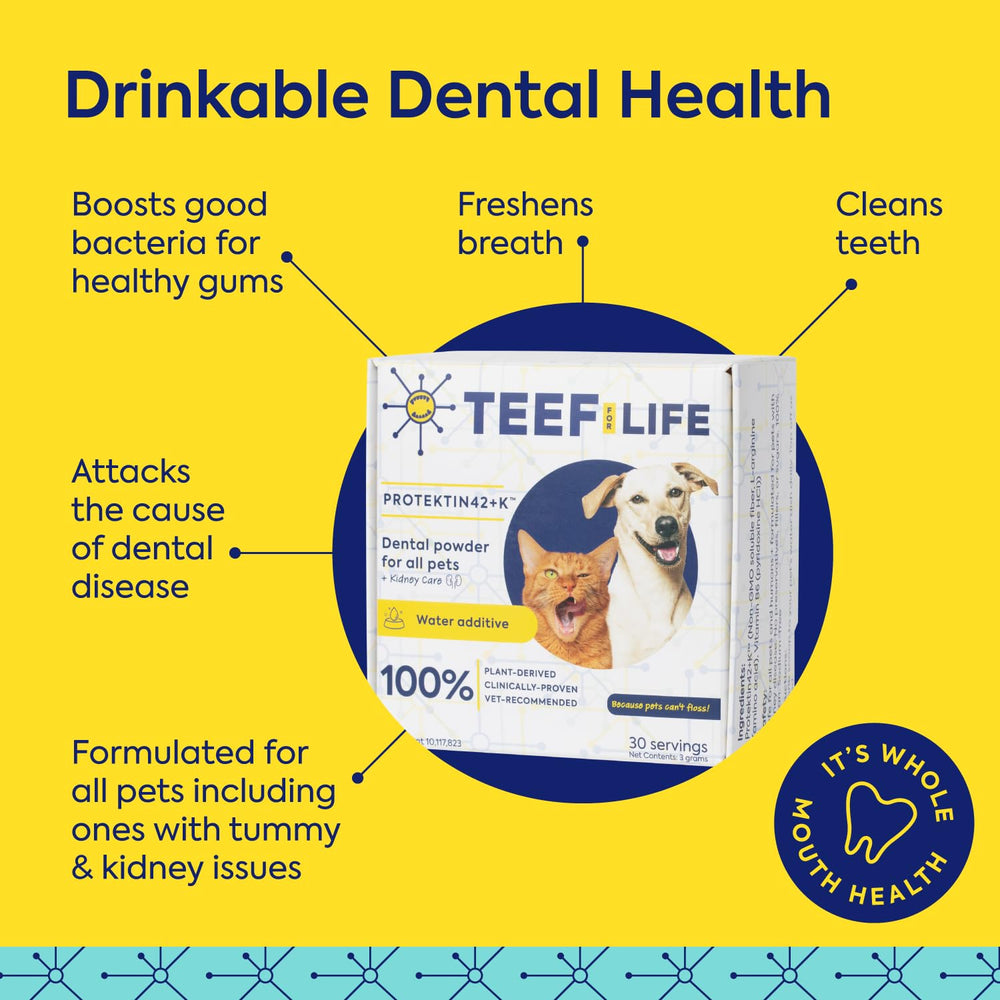 TEEF FOR LIFE Protektin42+K powder added to dog food supports daily care.