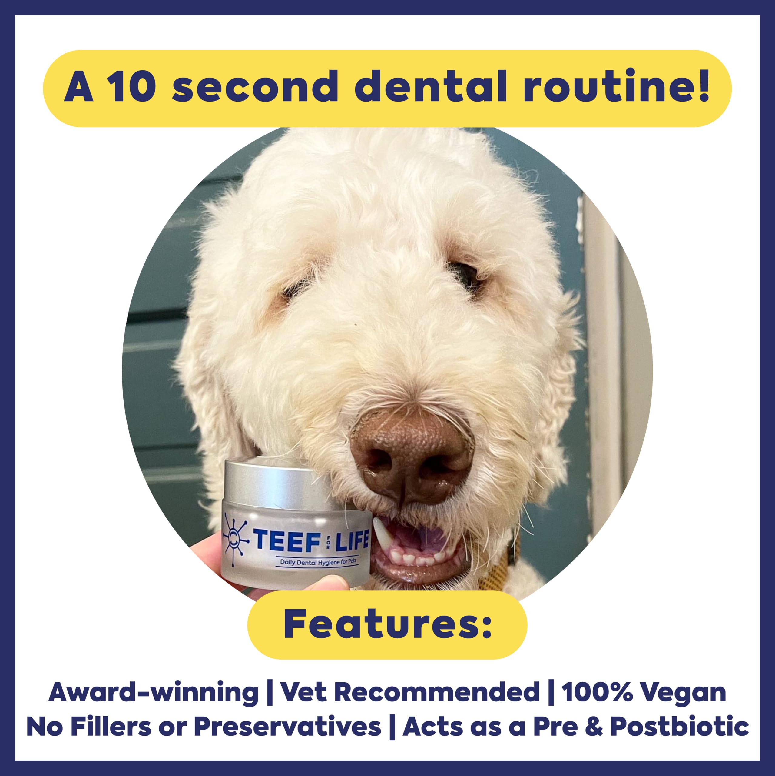 TEEF FOR LIFE Protektin42+K packaging on shelf communicates pet care focus.