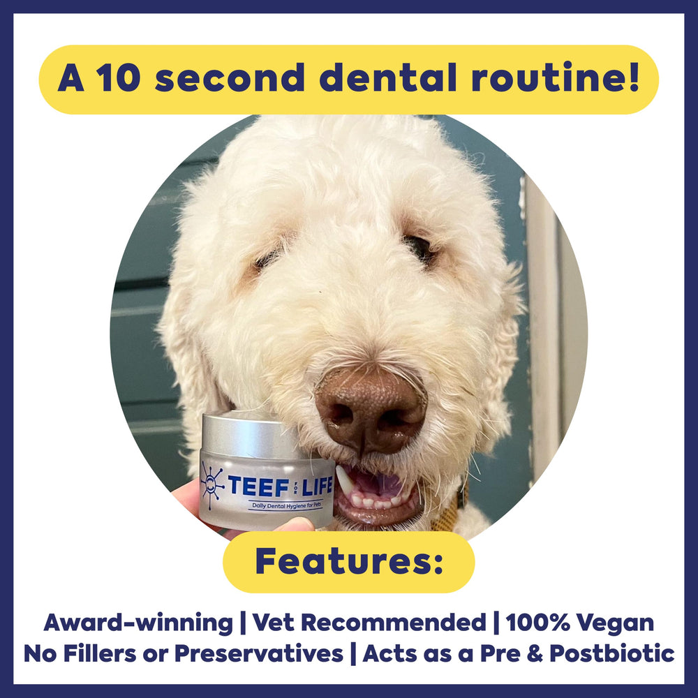 TEEF FOR LIFE Protektin42+K packaging on shelf communicates pet care focus.
