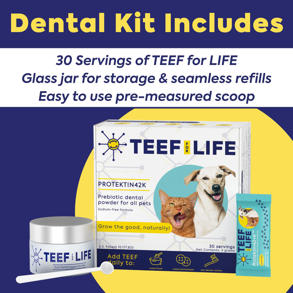 TEEF FOR LIFE Protektin42+K tub label shows USA-made vegan formula.
