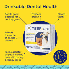 TEEF FOR LIFE Protektin42K used with dogs for oral care in daily routine.