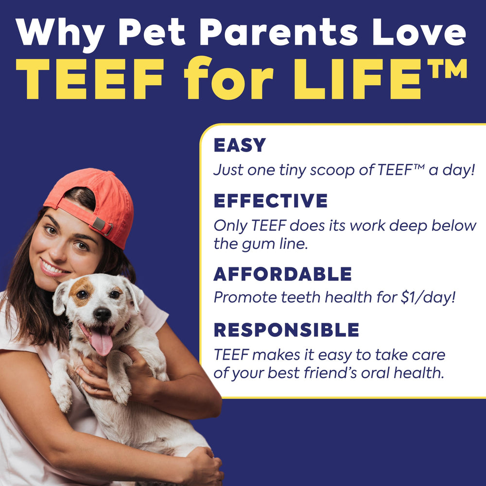 TEEF FOR LIFE Protektin42K veterinarian-recommended and award-winning dental powder.