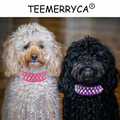 TEEMERRYCA purple adjustable collar on a dog demonstrates secure fit