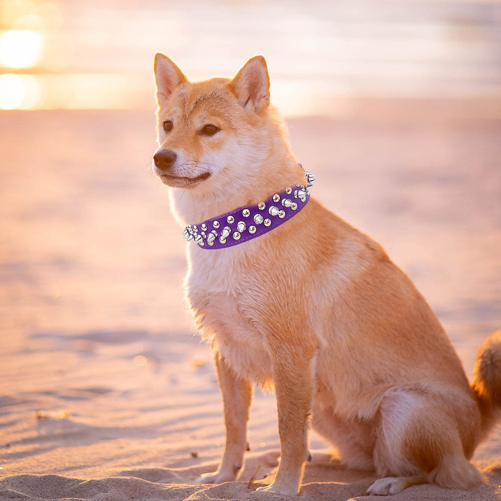 TEEMERRYCA gift-ready purple collar and ball set for easy gifting