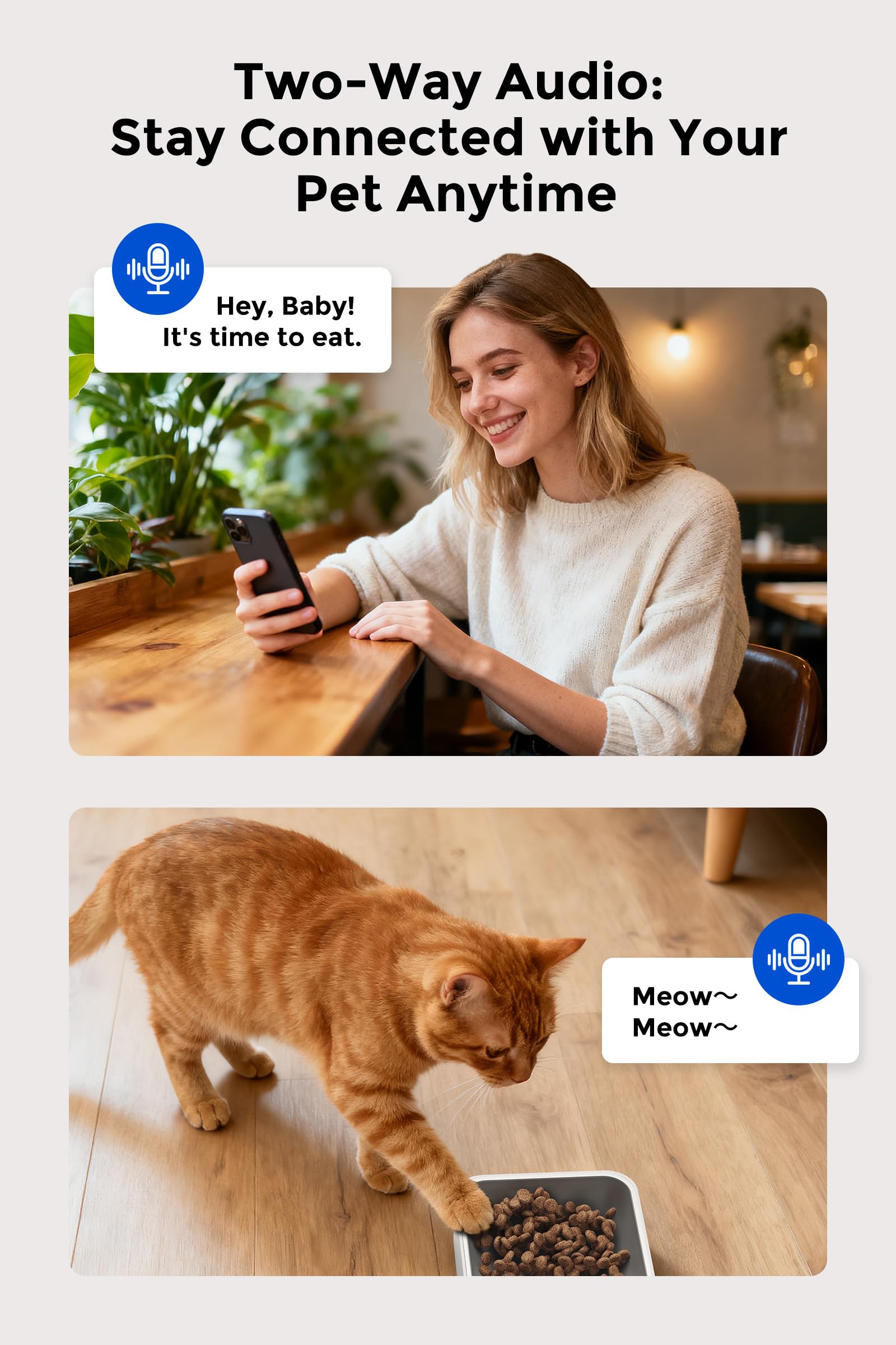 Teendow XLY-M1 laser play enables remote engagement and exercise for a happier cat.