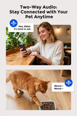 Teendow XLY-M1 laser play enables remote engagement and exercise for a happier cat.