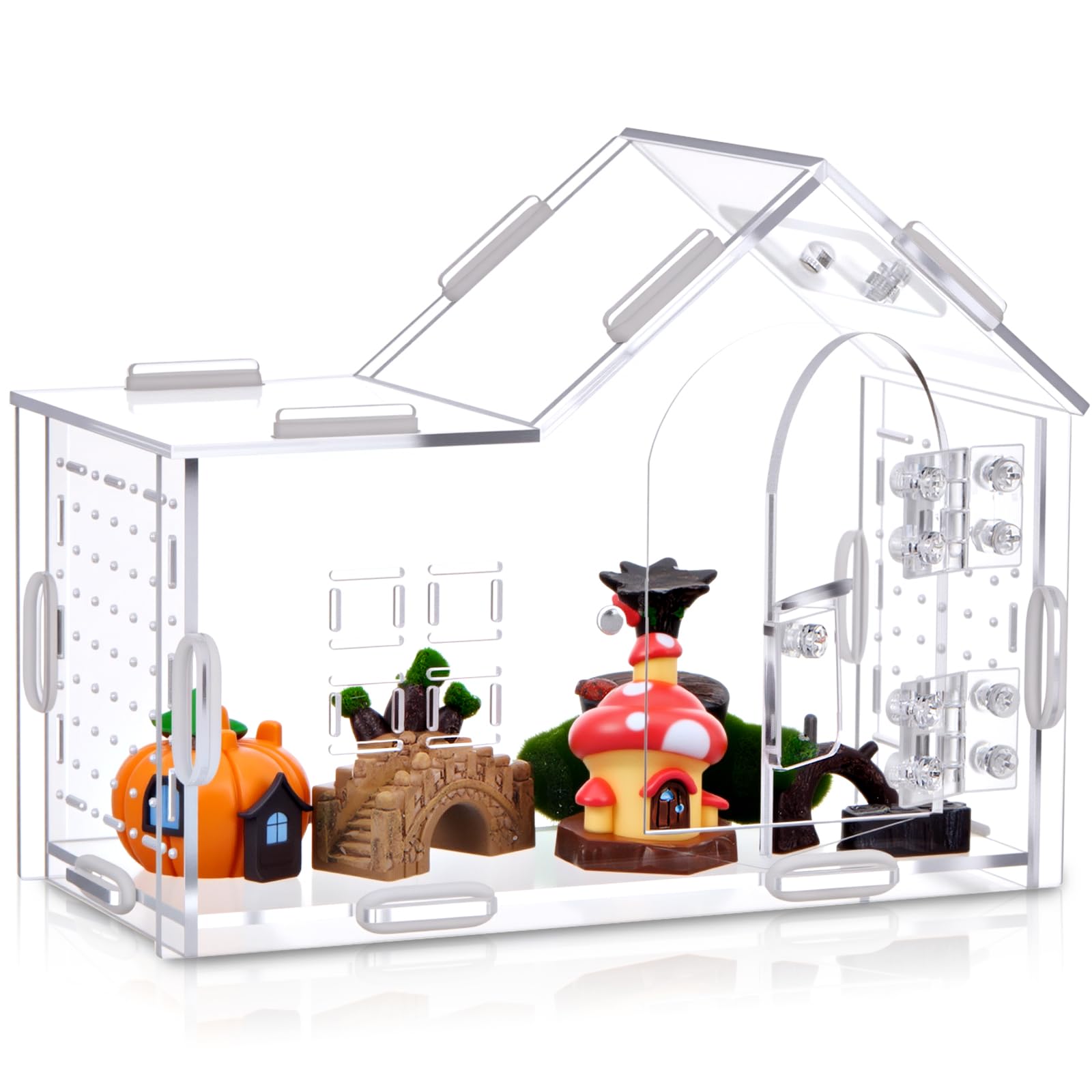 Teenyyou large jumping spider enclosure front view with clear walls for easy observation.