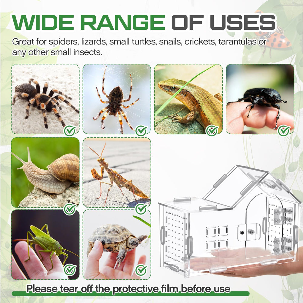 Teenyyou acrylic enclosure side ventilation maintains airflow for humidity-sensitive species.