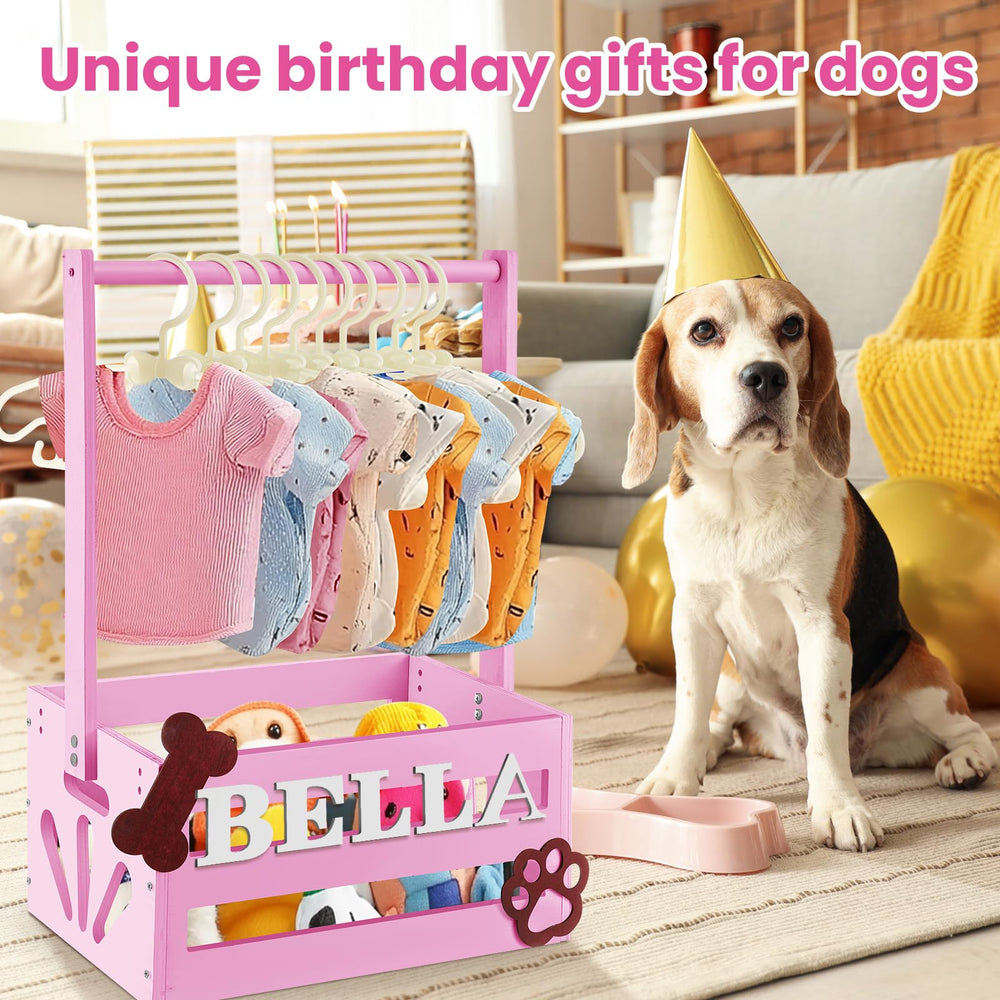 Teenyyou easy-assembly baskets: quick setup for tidy pet spaces