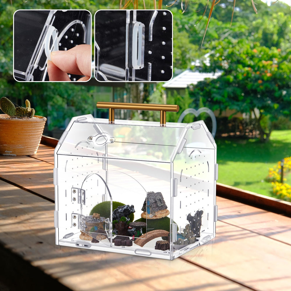 Teenyyou Jumping Spider Enclosure in use shows versatile housing for small reptiles and invertebrates.