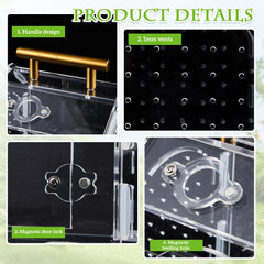 Teenyyou Jumping Spider Enclosure magnetic door demonstrates easy feeding and secure closure.