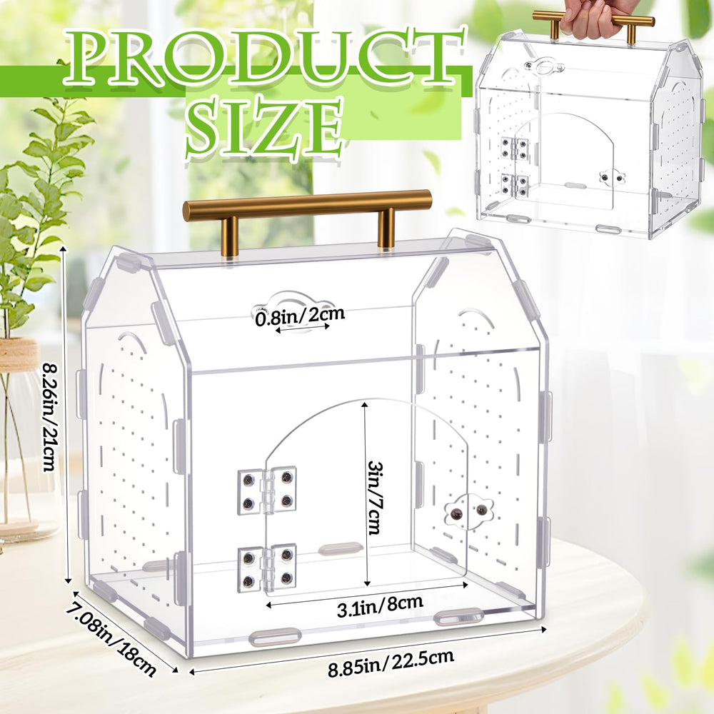 Teenyyou Jumping Spider Enclosure side view showing sturdy acrylic construction for durability.