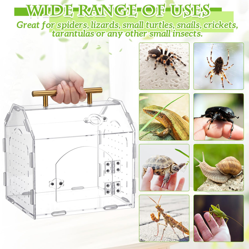 Teenyyou Jumping Spider Enclosure top view highlighting 360-degree viewing angle for behavior checks.