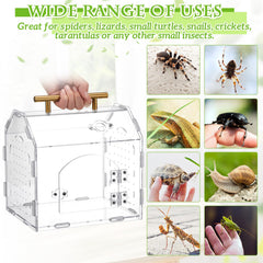 Teenyyou Jumping Spider Enclosure top view highlighting 360-degree viewing angle for behavior checks.