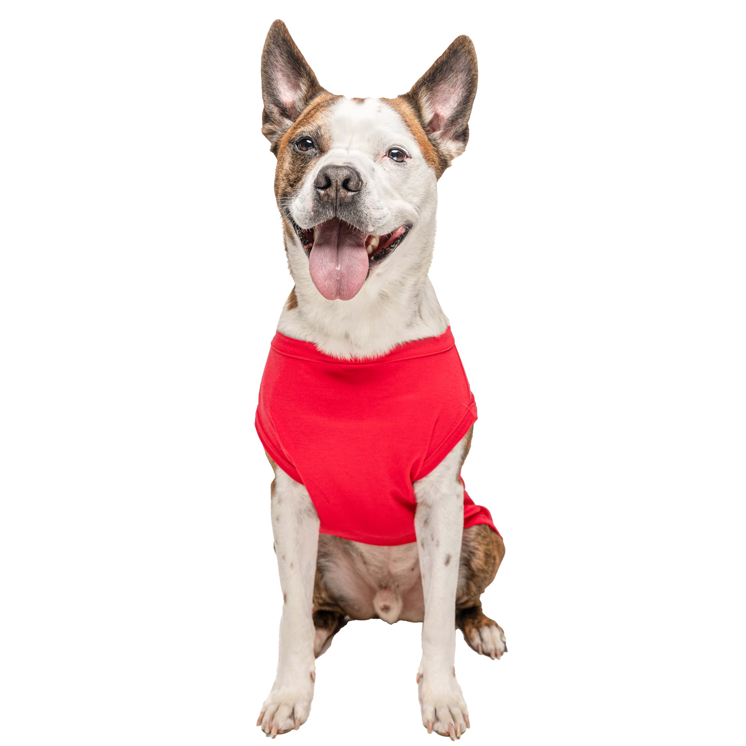 Tees & Tails Nice Dog Tee packaging shown as gift-ready product