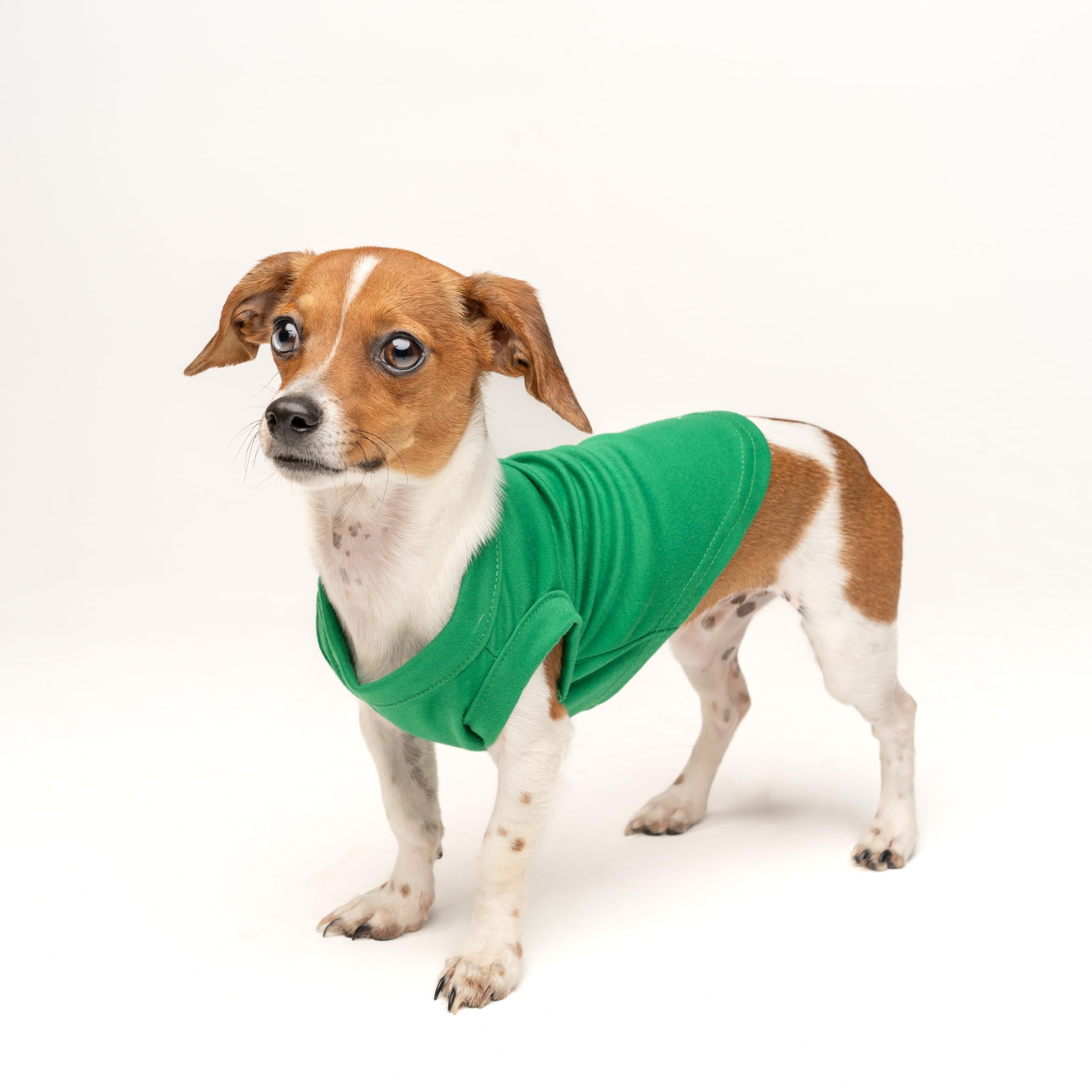 Tees & Tails Naughty Dog Tee Christmas gift-ready look.