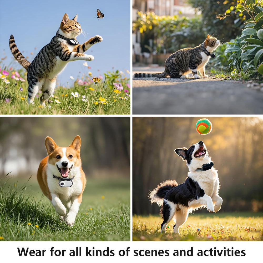 TEFIRE Dog Camera Collar anti-loss magnetic design keeps it attached during activity.