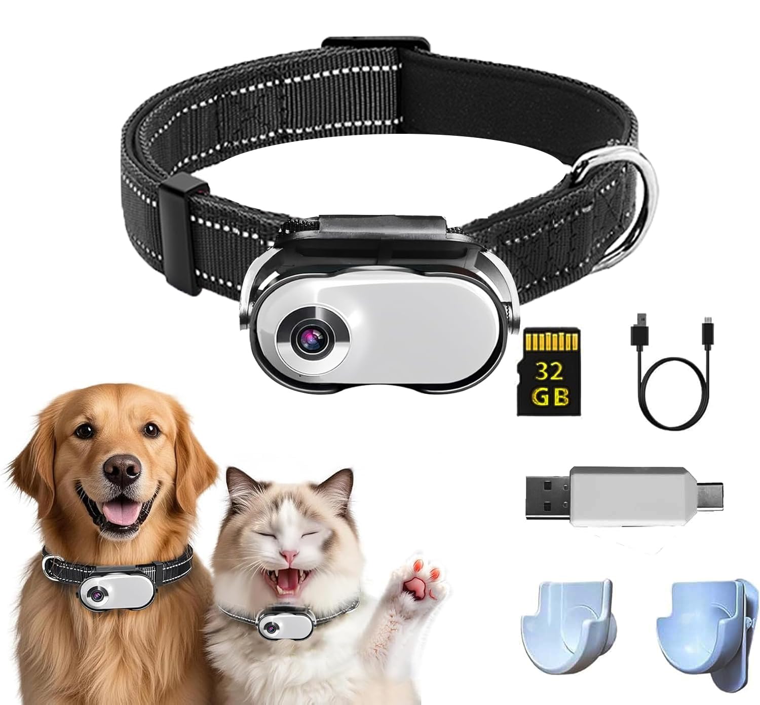 TEFIRE Dog Camera Collar on a dog during a walk captures hands-free footage.