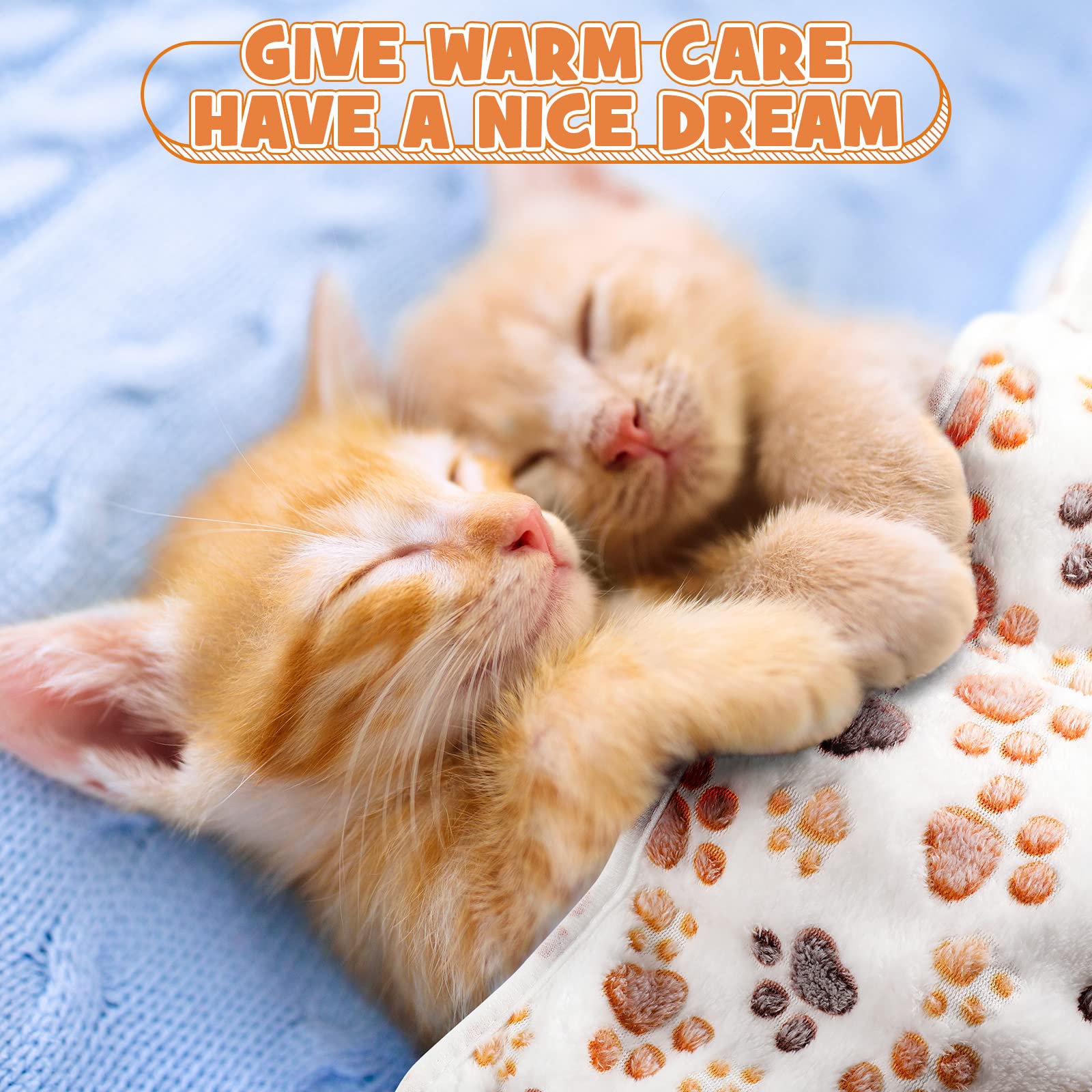 Tegeme paw-print blanket lightweight and portable for travel.