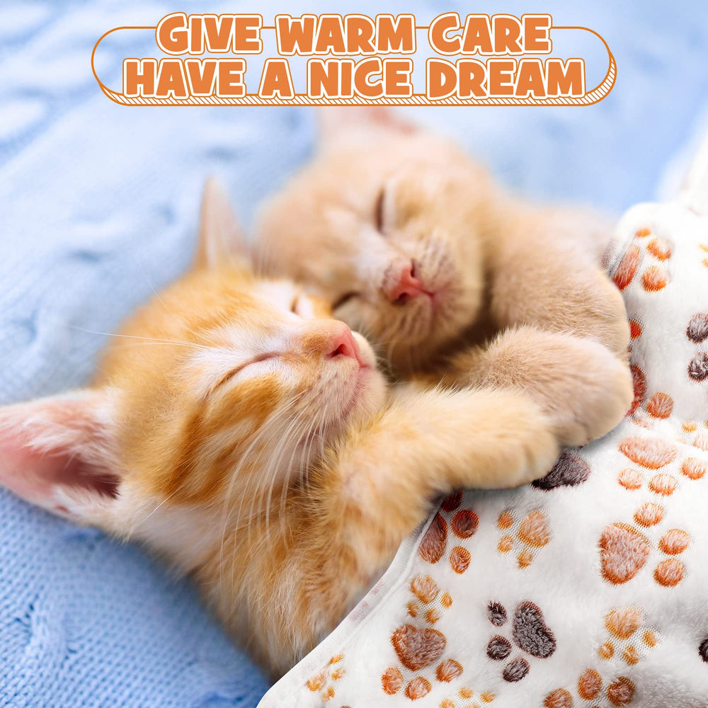 Tegeme paw-print blanket lightweight and portable for travel.
