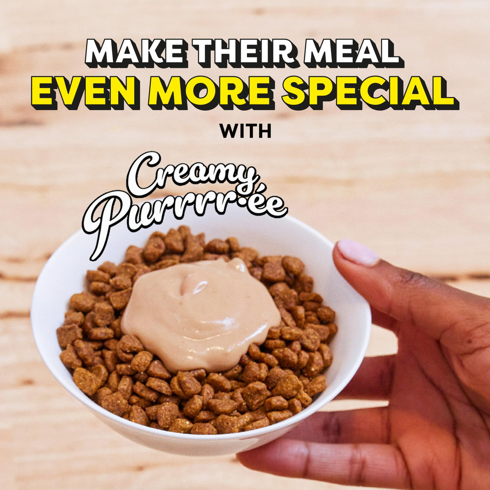 Temptations Creamy Puree serving in bowl, toppers add flavor to meals.
