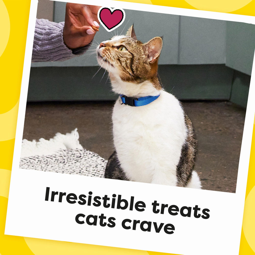 Temptations Shrimpy Shrimp Treats treat-drops concept portrays crumbly texture and crunch