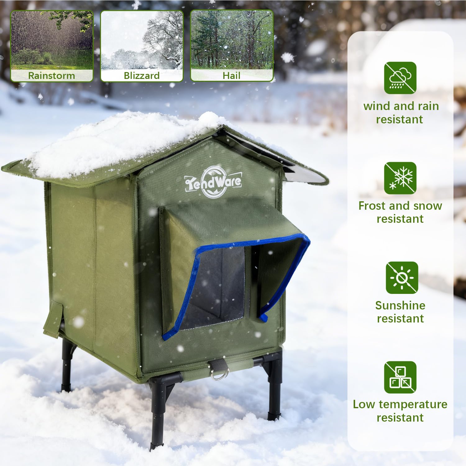 TENDWARE blue-edge-entrance attracts curious feral cats to seek shelter inside.