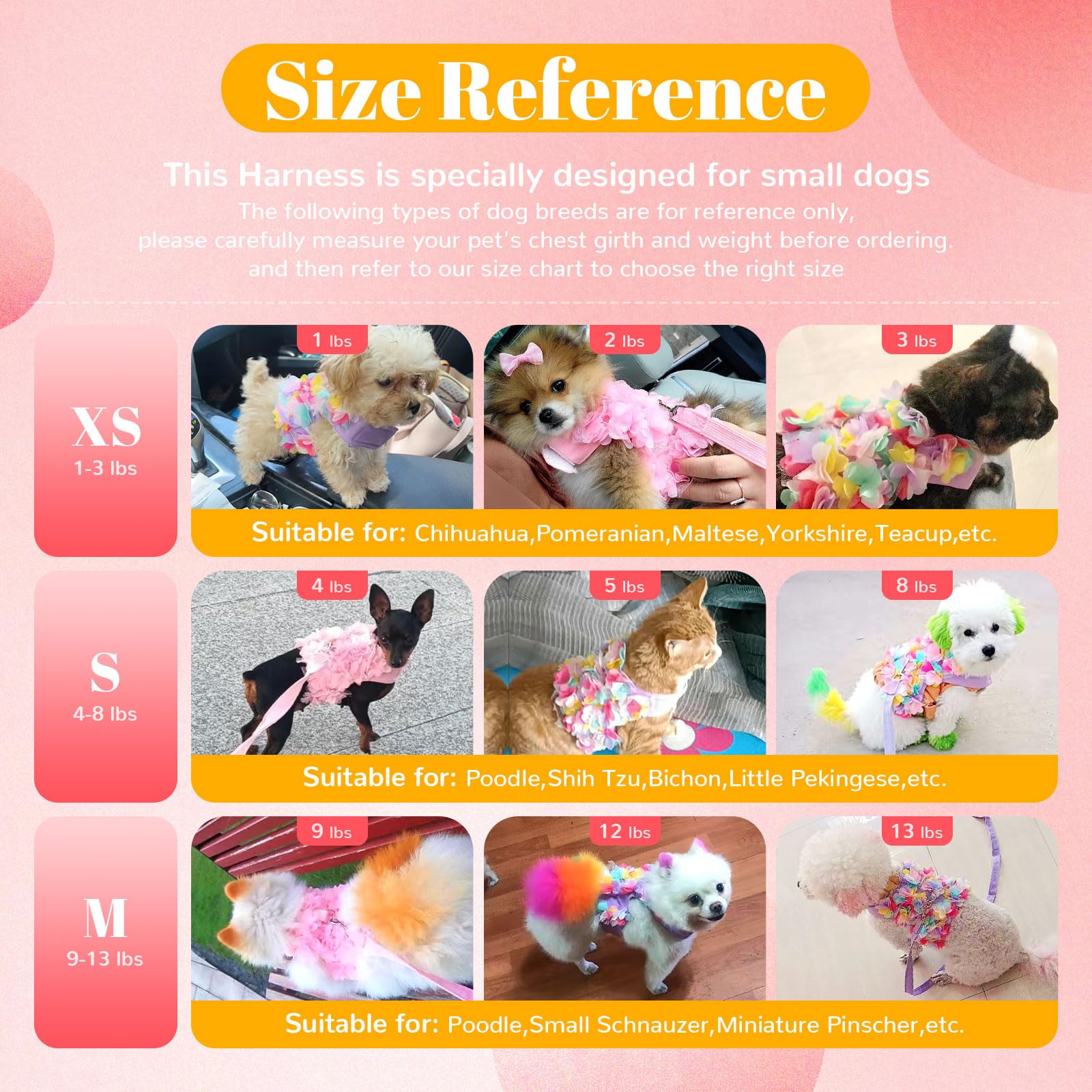 TENGZHI cute spring pet outfits with lace floral accents.
