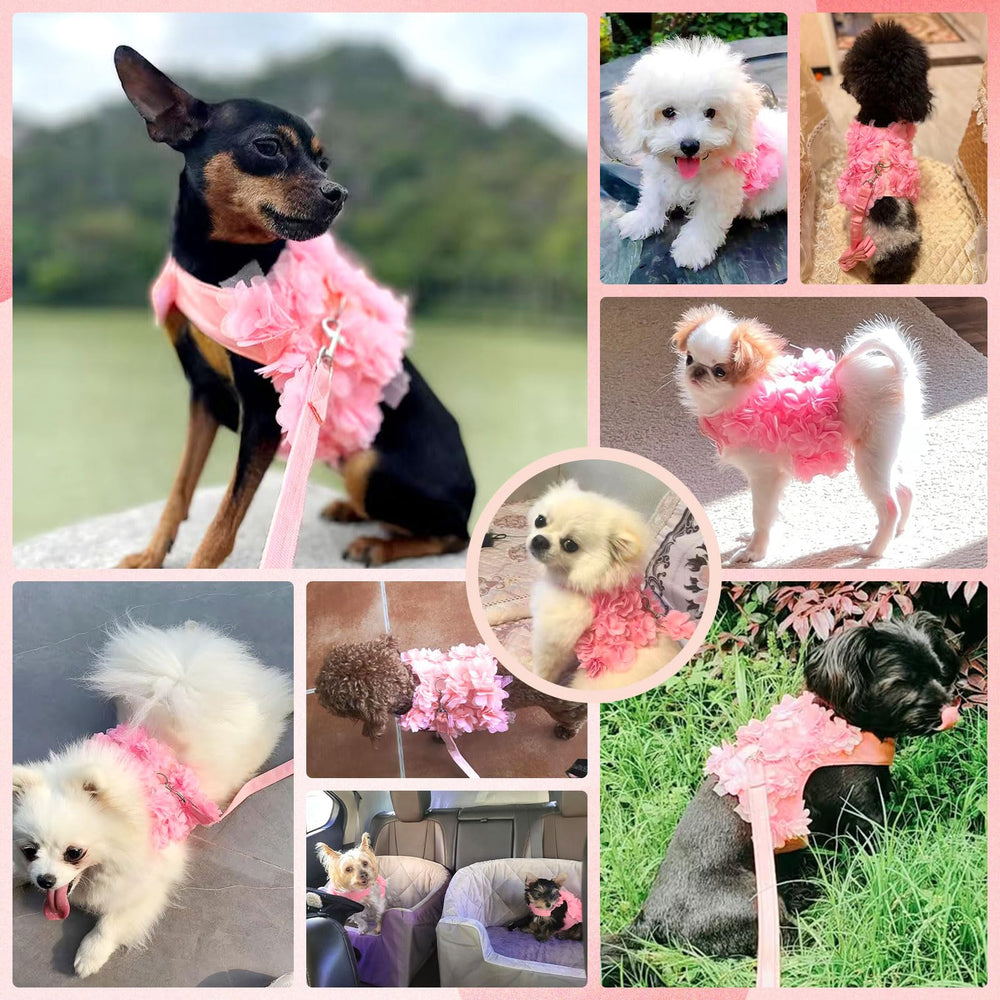 TENGZHI small-pet no-pull harness supports gentle control during walks.