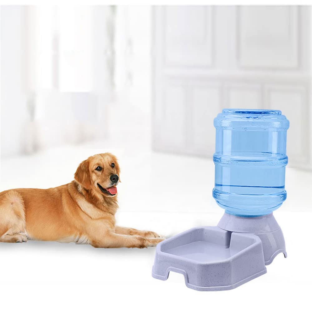 TENINYU water-dispenser with transparent bottle, quick water checks.