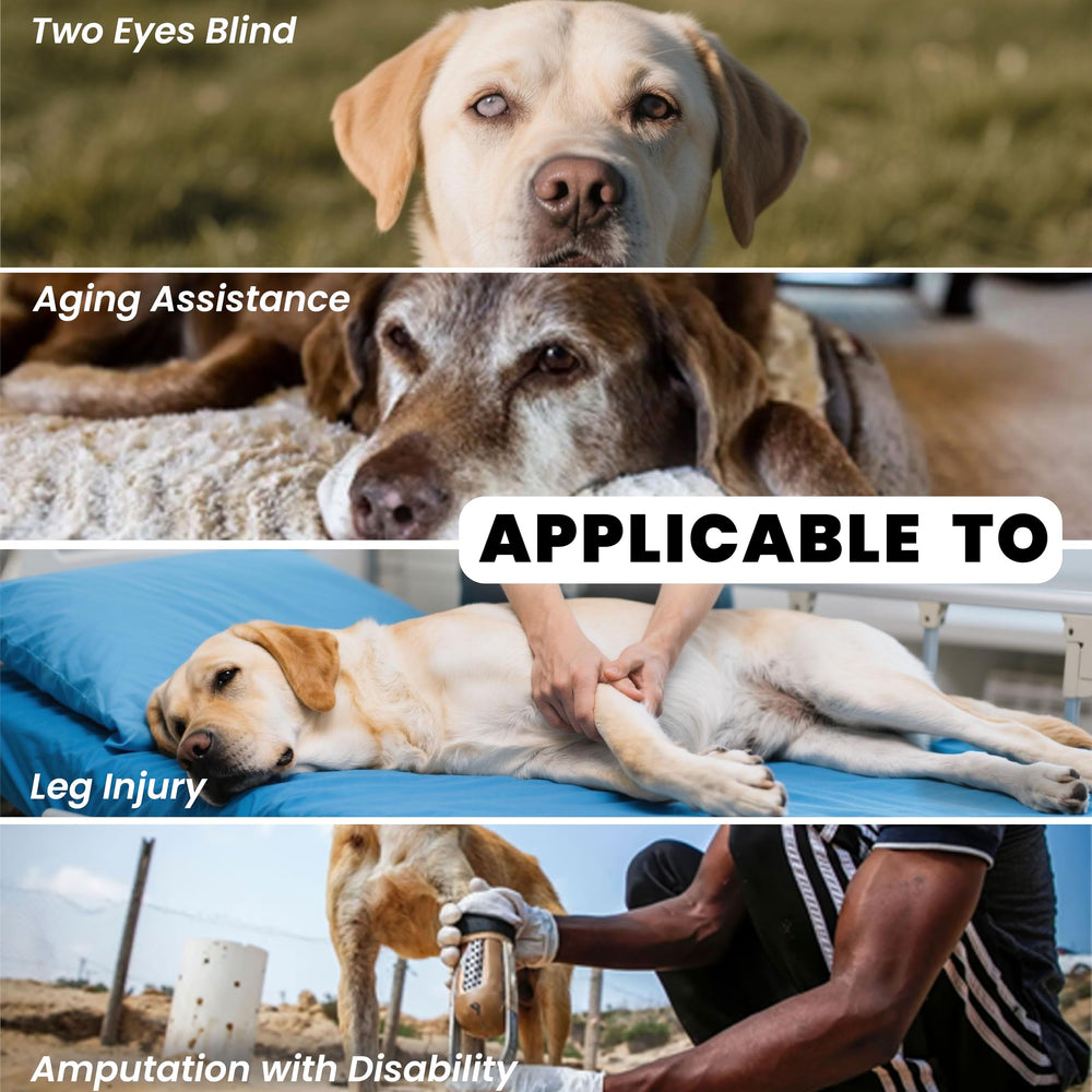 Terapaton dog lift harness car-entry-friendly design makes getting in and out safer.