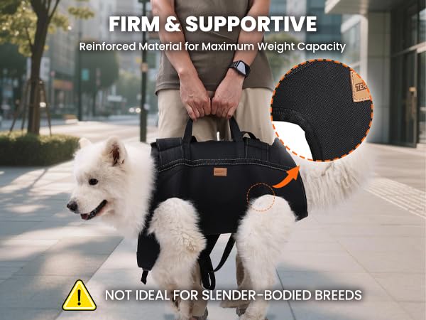 Terapaton dog lift harness used as carrier for large dogs during travel