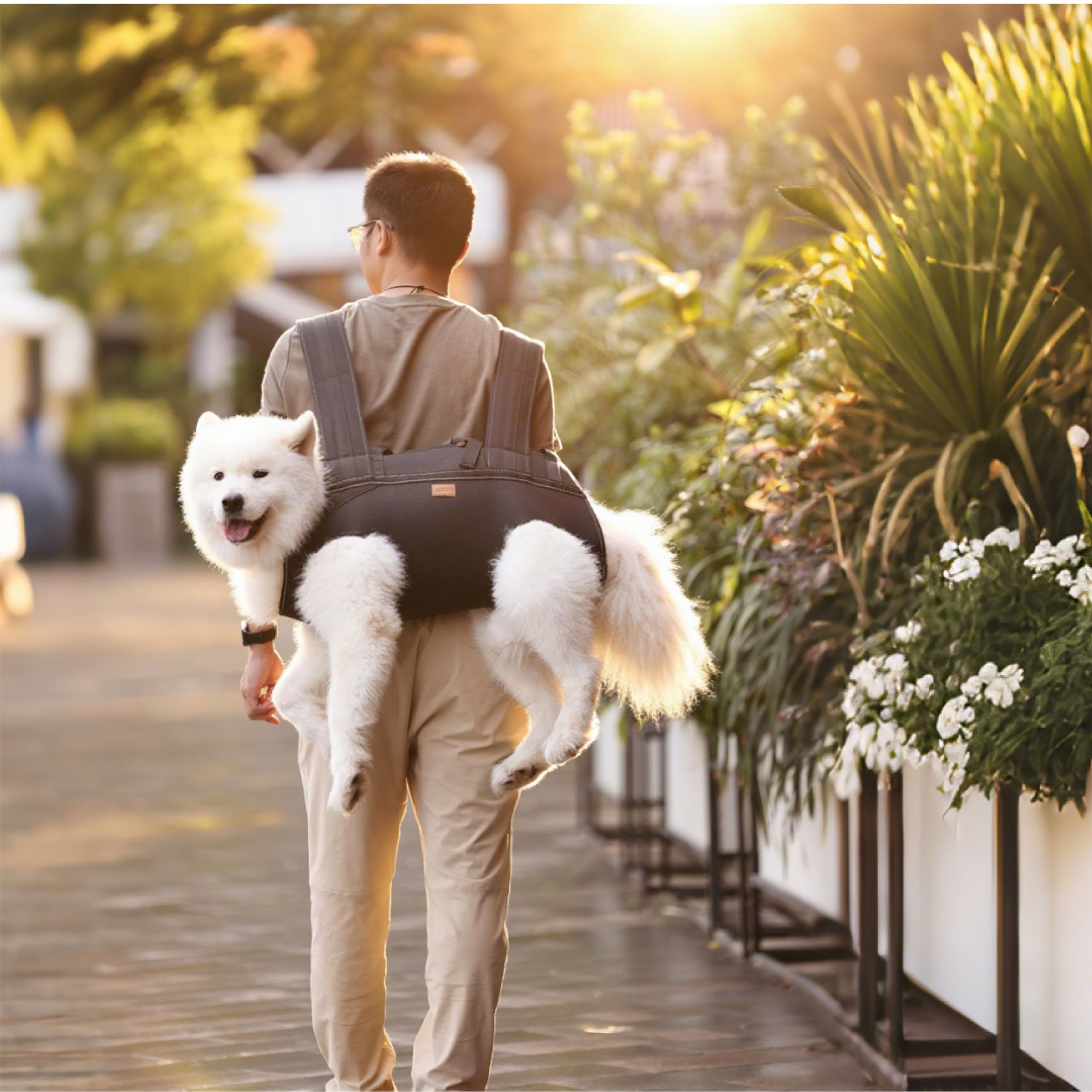 Terapaton dog lift harness suited for daily walks and outings