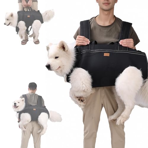 Terapaton dog lift harness full body sling supports large dogs during stairs and transfers.