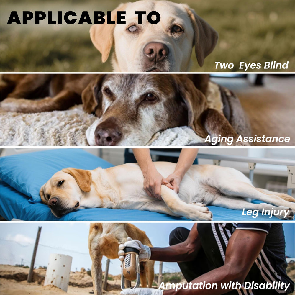 Terapaton dog lift harness highlights reflective stripes for visibility