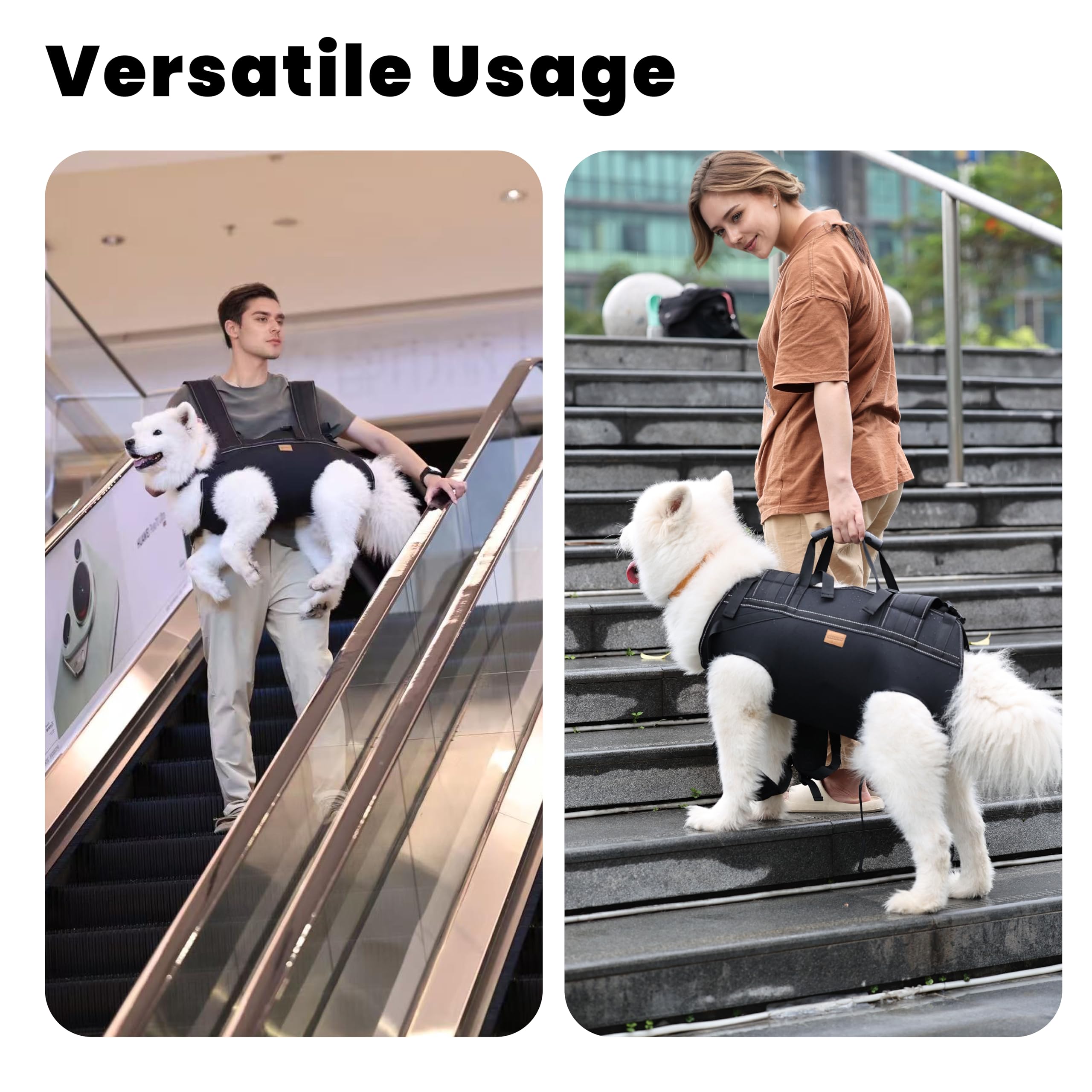 Terapaton dog lift harness on stairs demonstrates lift assistance