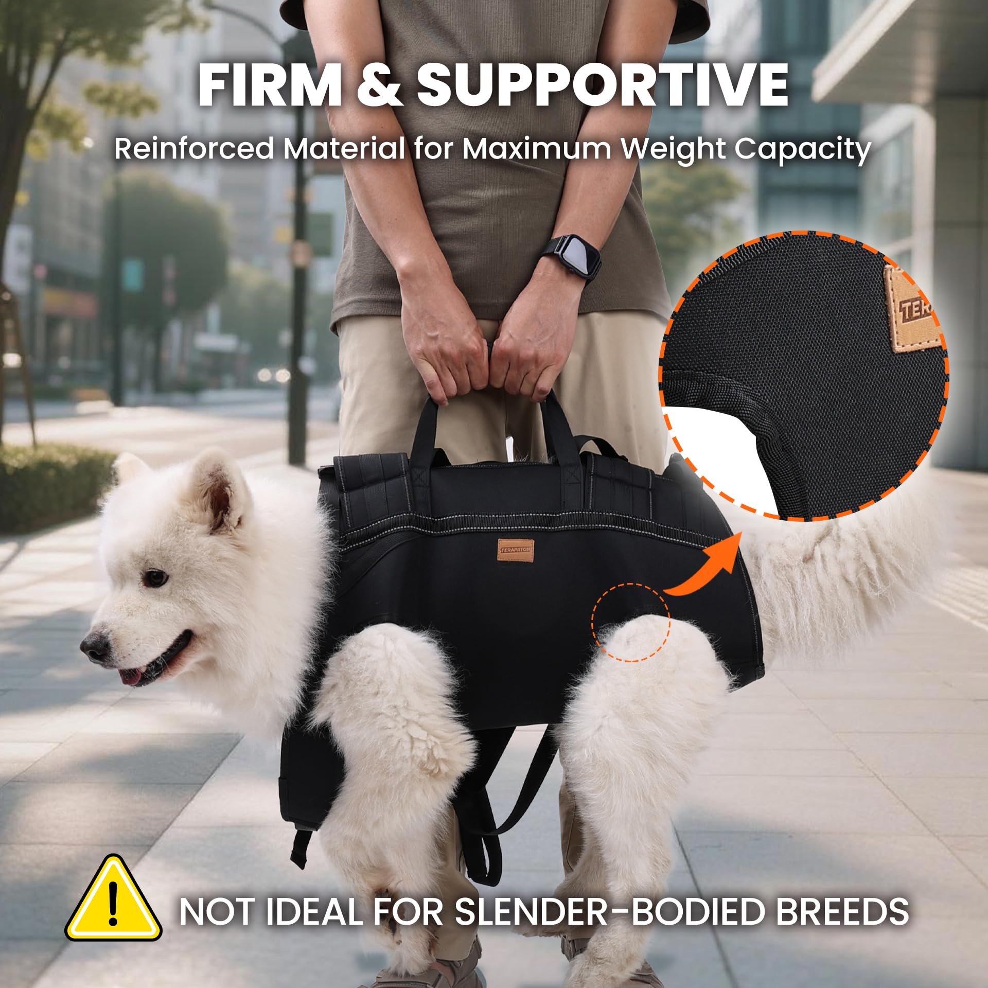Terapaton dog lift harness versatile-use for large dogs across trips and emergencies.