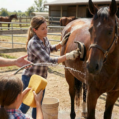 TERPUP horse grooming kit oval massage curry for stimulating blood flow during grooming.