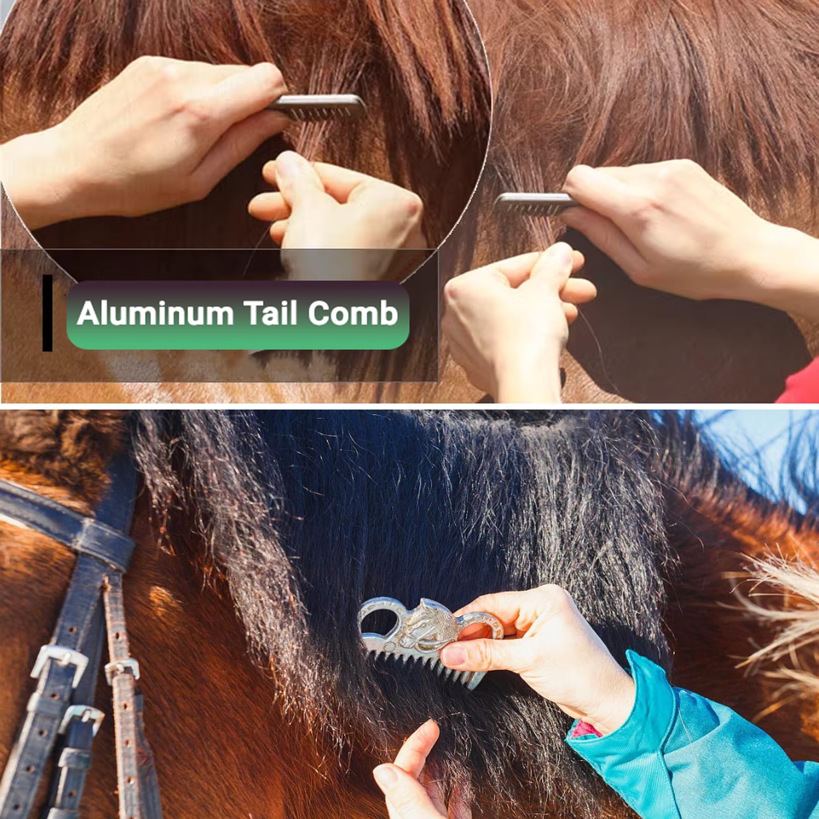 TERPUP horse grooming kit sweat scraper for quick sweat removal after riding.