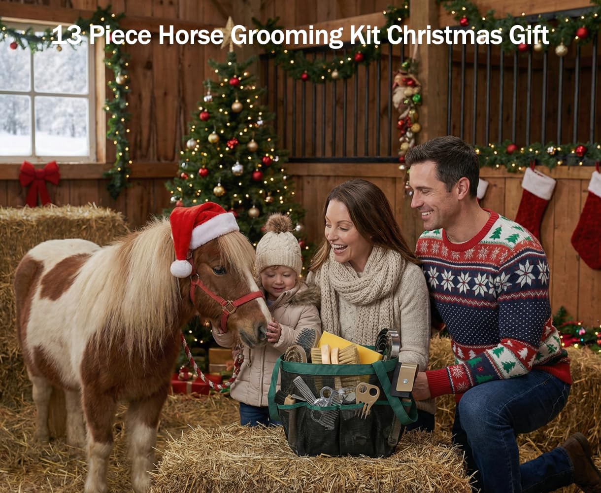 TERPUP horse grooming kit storage tote bag to keep tools organized on the go.