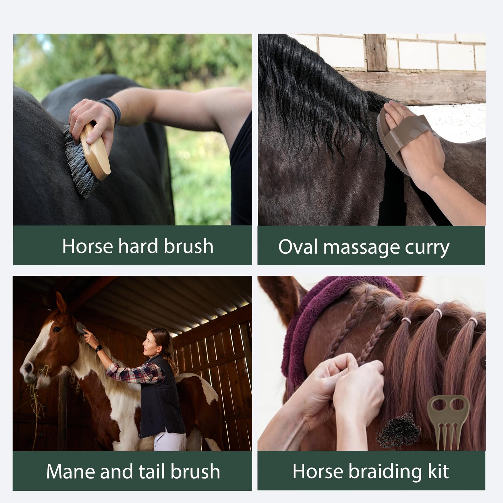 TERPUP horse grooming kit two portable metal combs for precise detangling.