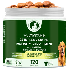 Terrapaws 23-in-1 multivitamin bottle with beef-flavored soft chews for daily dog wellness.