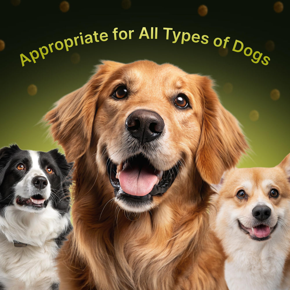 Terrapaws probiotic digestive chews supporting gut health and regularity.