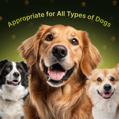 Terrapaws probiotic digestive chews supporting gut health and regularity.