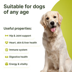 Terrapaws skin coat chews highlighting shiny fur and less itchiness.