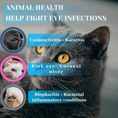 TERRAPET eye cream cat-use packaging highlights compact design for travel care