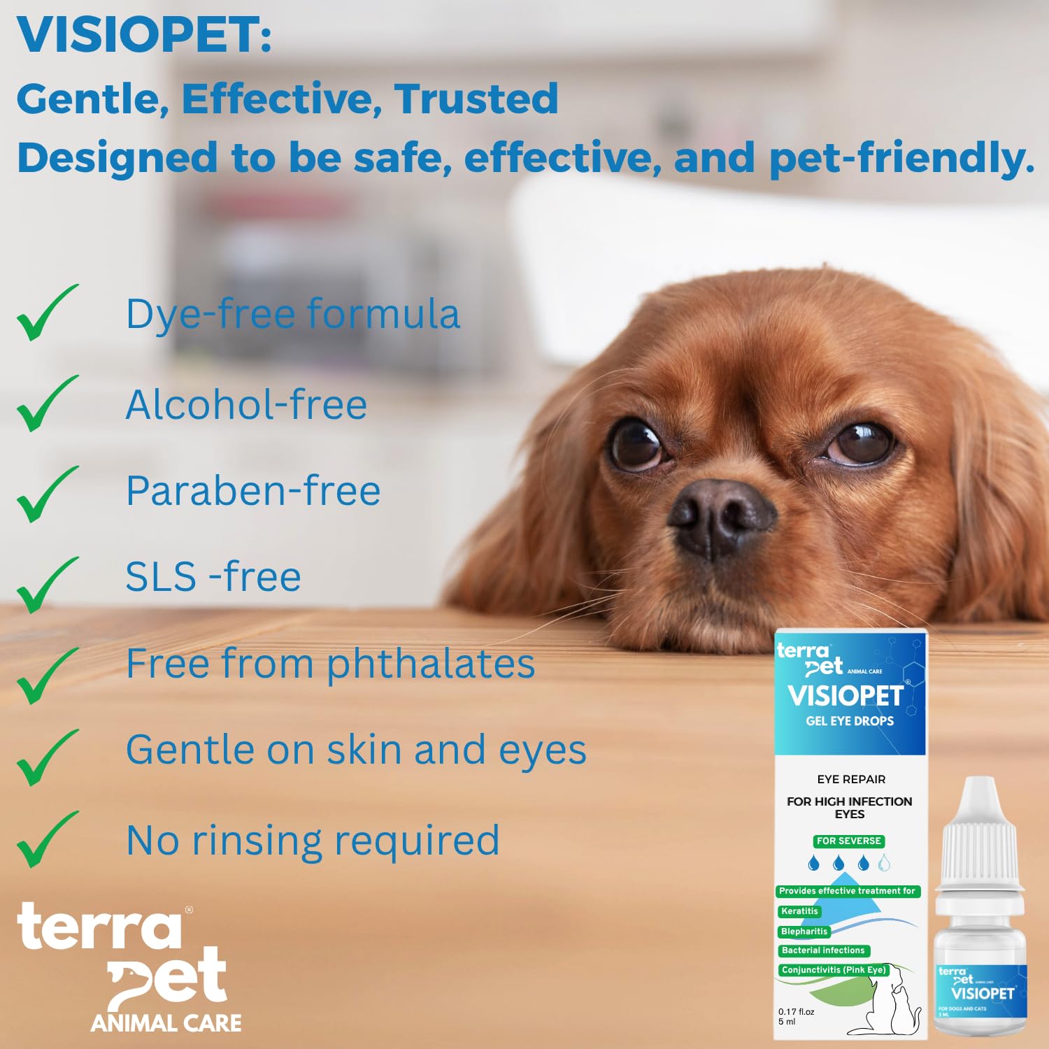 TERRAPET Visiopet cat eye care scene highlighting gentle daily cleaning.