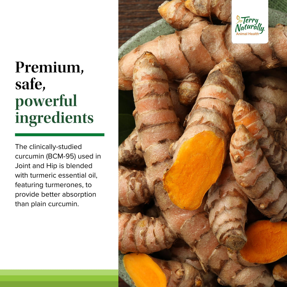 Terry Naturally all-natural ingredients free from common allergens.